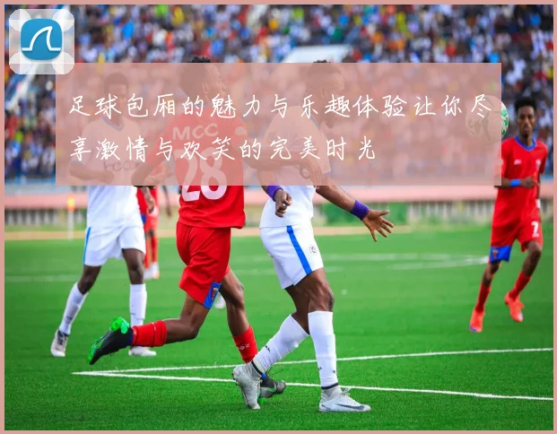 足球包厢的魅力与乐趣体验让你尽享激情与欢笑的完美时光