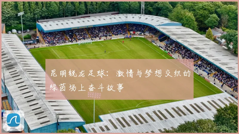 昆明锐龙足球：激情与梦想交织的绿茵场上奋斗故事