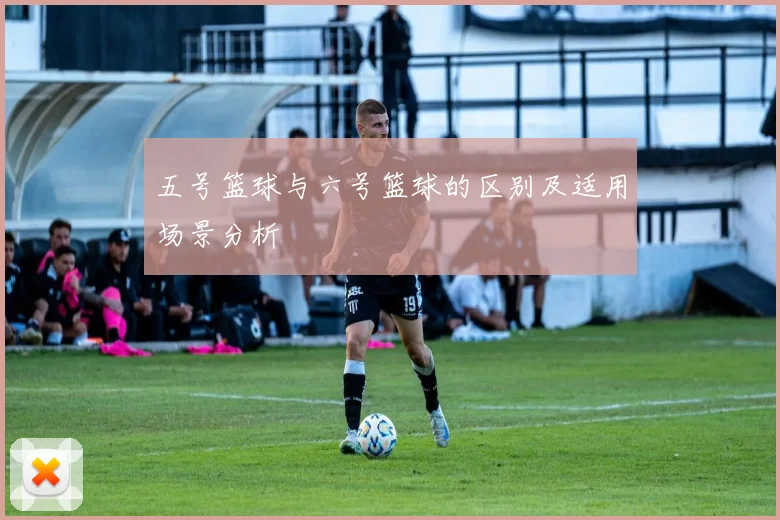 五号篮球与六号篮球的区别及适用场景分析